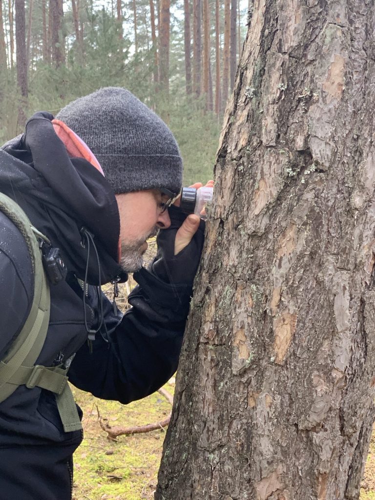 Naturbeobachtung mit der Lupe
