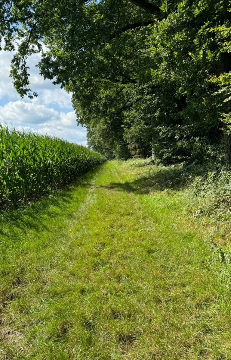 Waldbaden Naturherzpfade