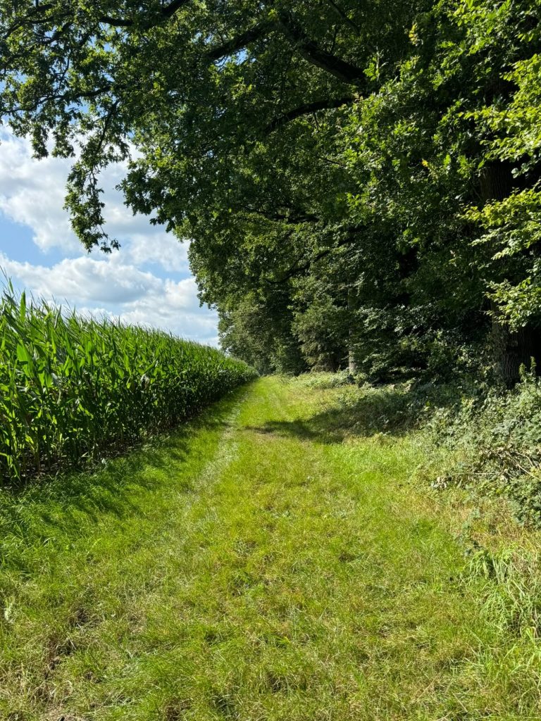 Naturherzpfade